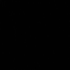 Meet your Posher, Lilly